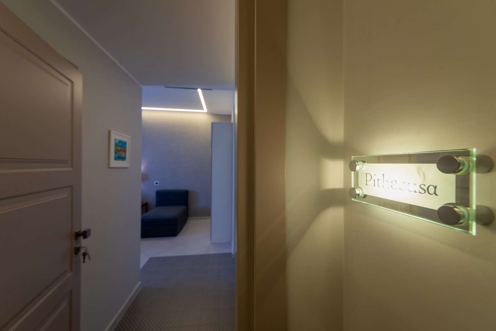 Camera Pithecusa - ingresso